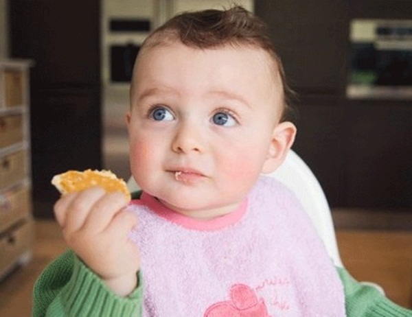 Bánh quy có thể làm tổn hại đến thận của bé khi bé đang bước vào độ tuổi ăn dặm