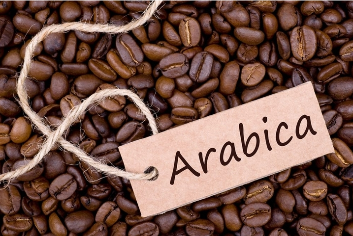 Giá cà phê hôm nay 9/6: Robusta tăng trở lại, Arabica chưa ‘thoát đáy’